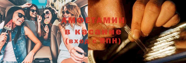 трава Аркадак
