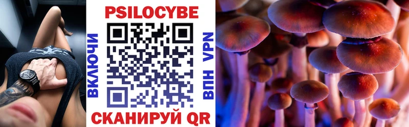 сколько стоит Гатчина Галлюциногенные грибы MAGIC MUSHROOMS