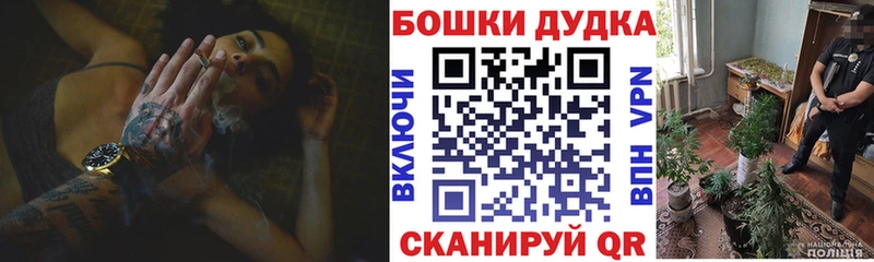 где купить наркоту  OMG сайт  Конопля AK-47  Гатчина 